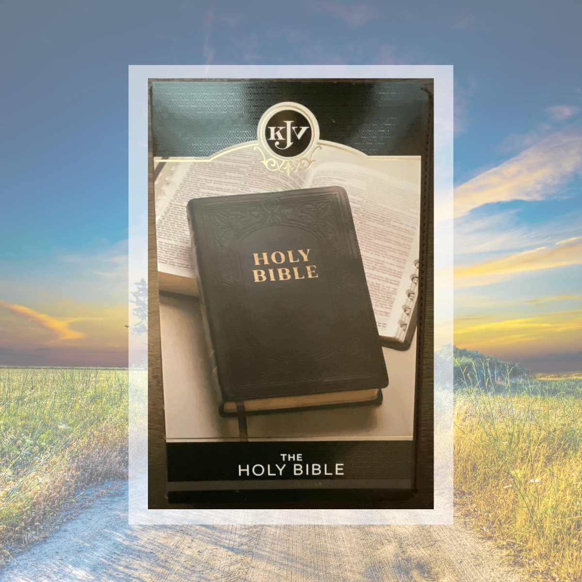 Bible, The Holy