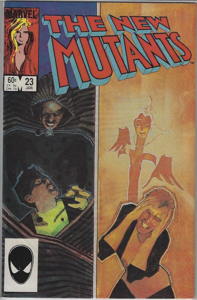 Comic Book: New Mutants, The #21 22 23 24 25 26 27 28 29 #30 *