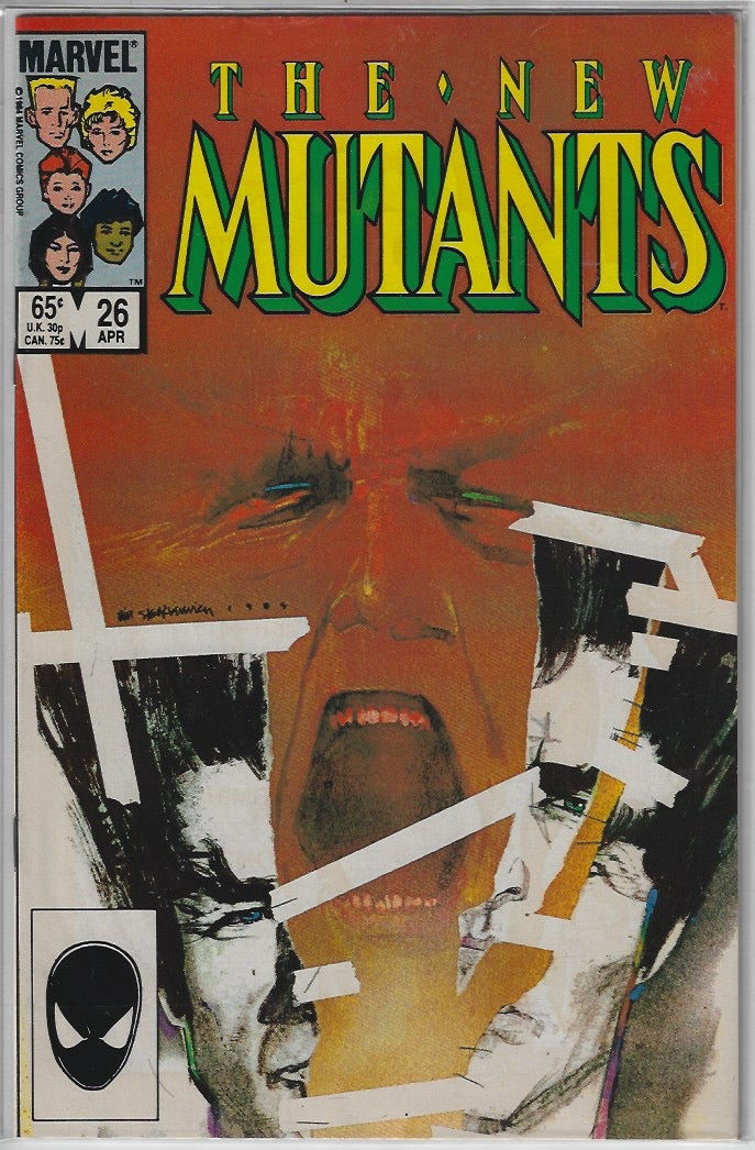 Comic Book: New Mutants, The #21 22 23 24 25 26 27 28 29 #30 *