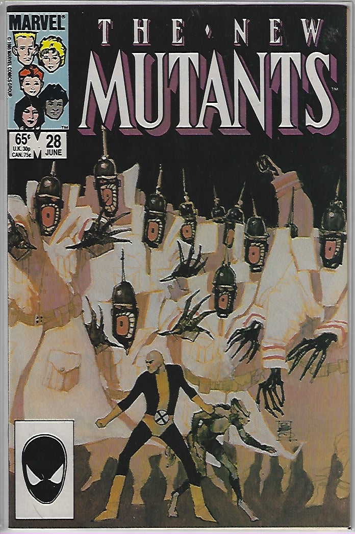 Comic Book: New Mutants, The #21 22 23 24 25 26 27 28 29 #30 *