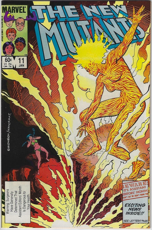 Comic Book: New Mutants, The #11 12 13 14 15 16 17 18 19 #20 *