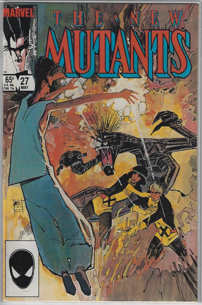 Comic Book: New Mutants, The #21 22 23 24 25 26 27 28 29 #30 *
