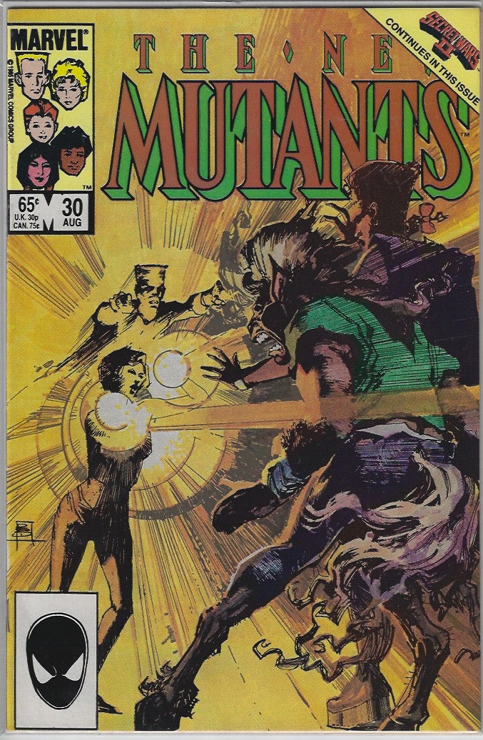 Comic Book: New Mutants, The #21 22 23 24 25 26 27 28 29 #30 *