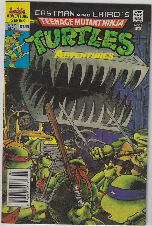 Comic Book: Teenage Mutant Ninja Turtles Adventures #2 (Newsstand)