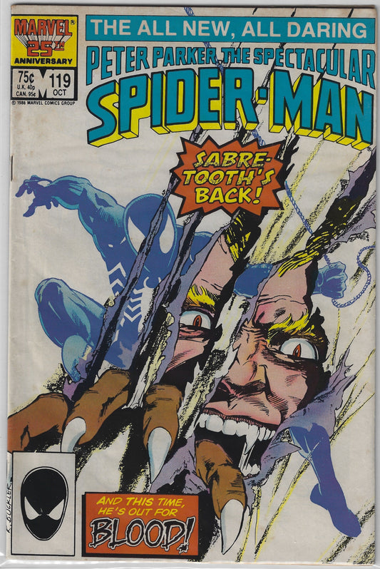 Comic Book: Peter Parker, The Spectacular Spider-Man #119