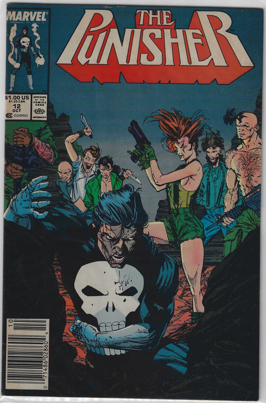 Comic Book: Punisher, The #12 (Newsstand)