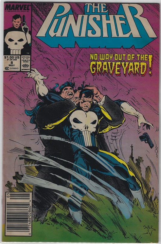 Comic Book: Punisher, The #8 (Newsstand)